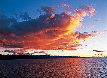 传闻：《艾尔登法环》DLC将亮相TGA 2024年2月5日发售