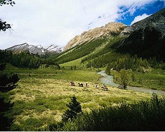 《宝藏世界》开启重量级冠军挑战赛“2024迎新节”，暨加尔克斯挑战活动