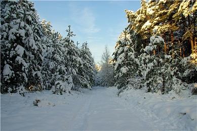 R星要求员工重返办公室上班 多位员工表示非常不满